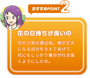 おすすめpoint2 花の日持ちが良いの