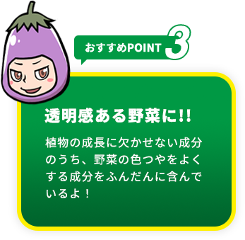 おすすめpoint3 透明感ある野菜に!!