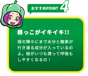 おすすめpoint4 根っこがイキイキ!!